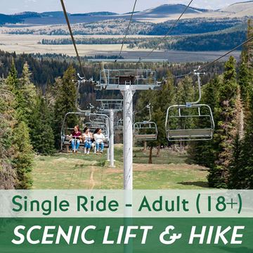 Scenic Lift Ride and Hiking - Single Ride Adult (18+)