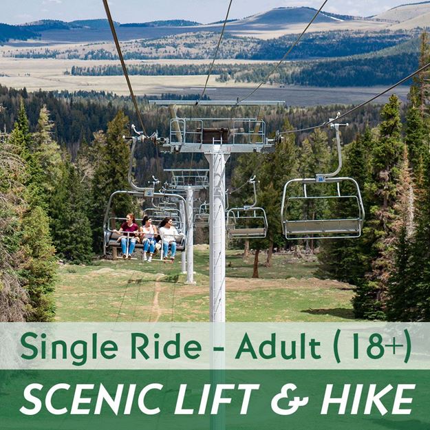 Scenic Lift Ride and Hiking - Single Ride Adult (18+)