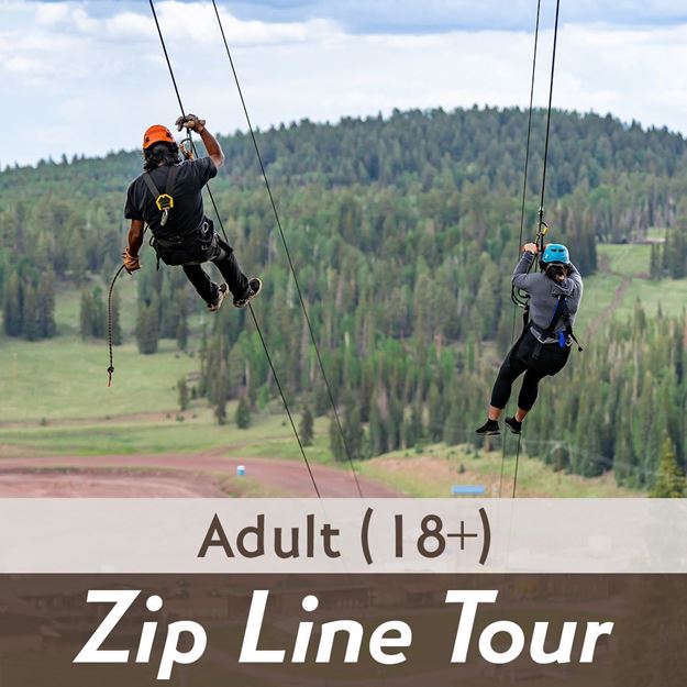 Zip Line Tour - Adult (18+)